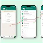sure bet whatsapp group link